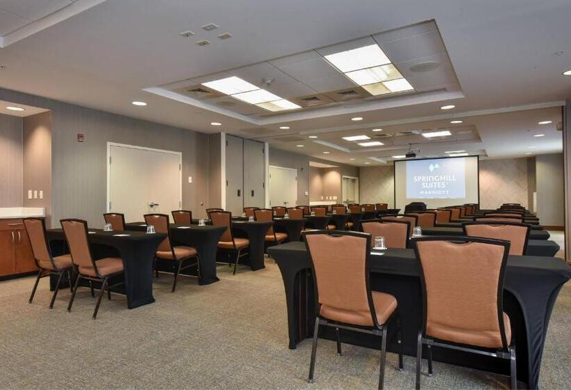 Springhill Suites Columbia Downtown The Vista