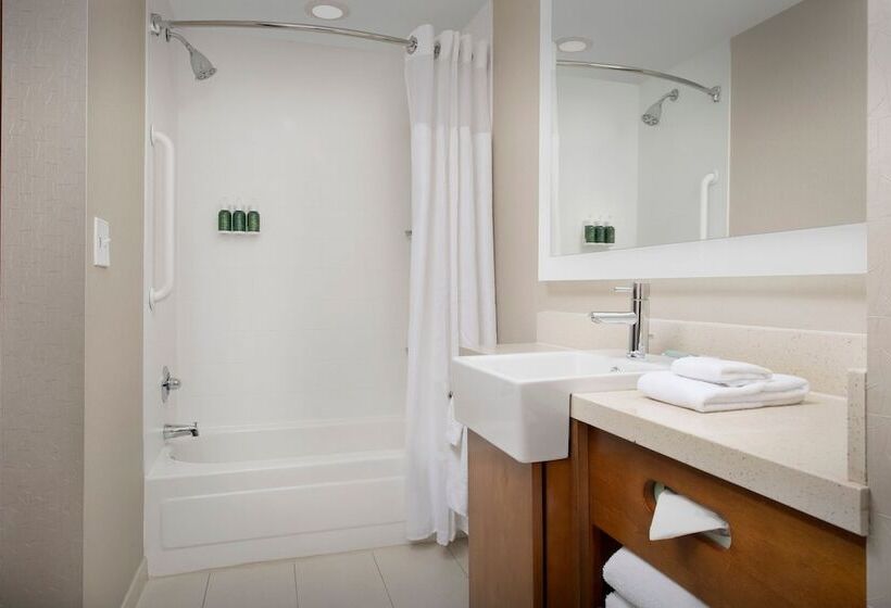 Springhill Suites By Marriott Huntsville West/research Park