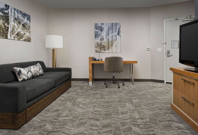 Springhill Suites By Marriott Huntsville West/research Park