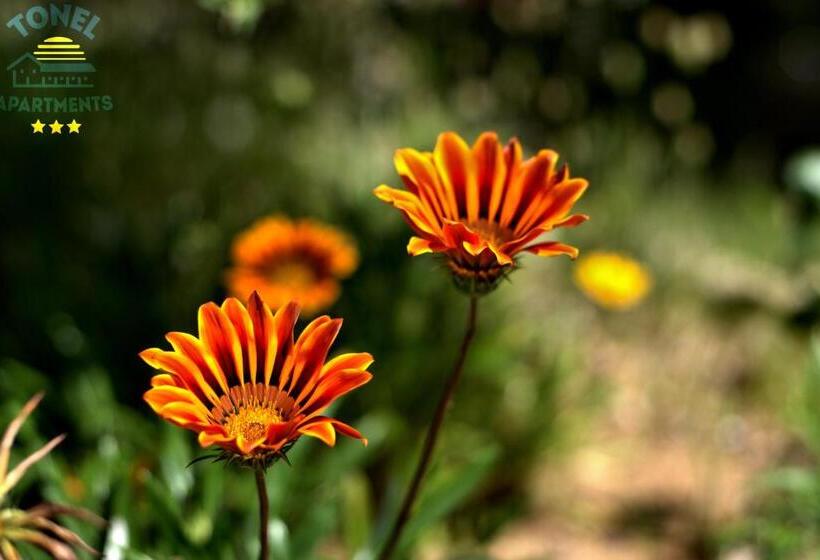 Tonel Apartamentos Turisticos