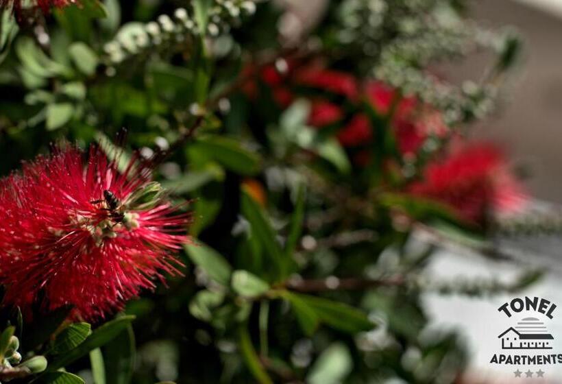 Tonel Apartamentos Turisticos