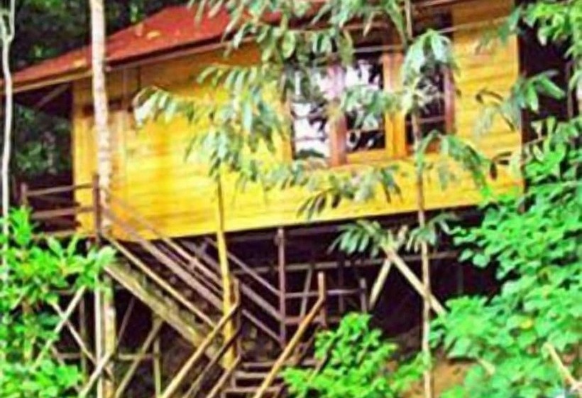 Borneo Tropical Rainforest Resort