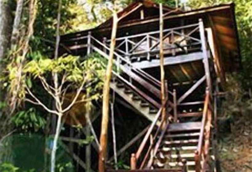 Borneo Tropical Rainforest Resort