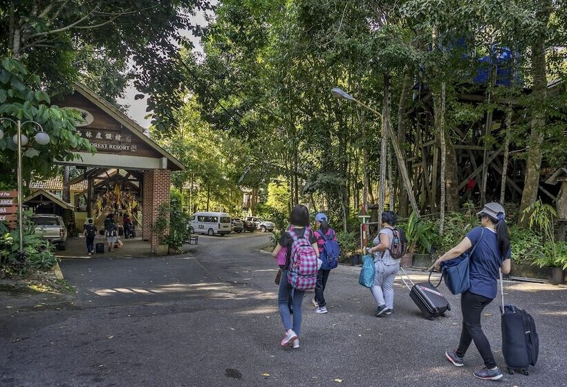 Borneo Tropical Rainforest Resort