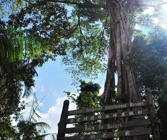 Borneo Tropical Rainforest Resort