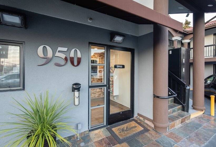 ホテル Bayhill Inn