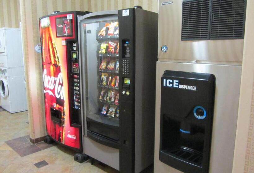 בית מלון כפרי Baymont By Wyndham Snyder