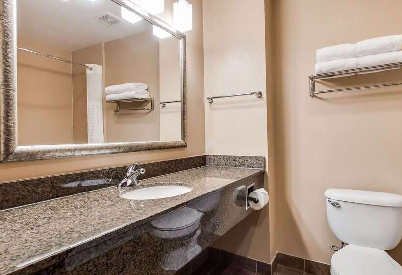 ホテル Best Western Carthage Inn & Suites