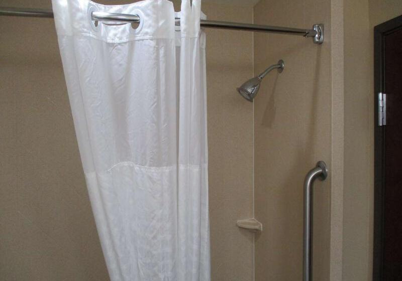 ホテル Best Western Carthage Inn & Suites