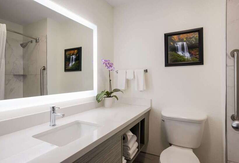 酒店 Clarion Pointe Sylva Near Cherokee Area