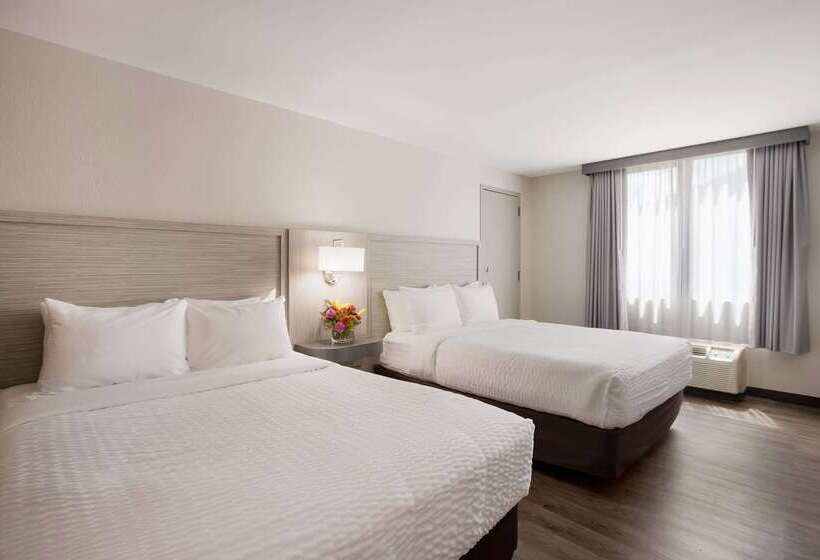 酒店 Clarion Pointe Sylva Near Cherokee Area