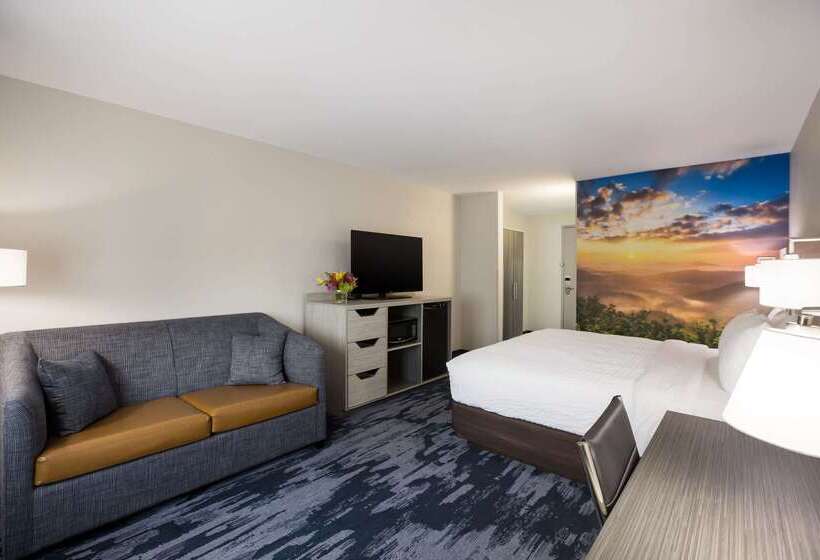 酒店 Clarion Pointe Sylva Near Cherokee Area