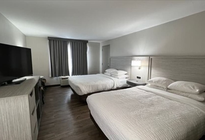 酒店 Clarion Pointe Sylva Near Cherokee Area