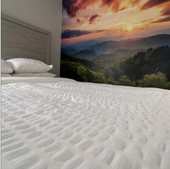 ホテル Clarion Pointe Sylva Near Cherokee Area