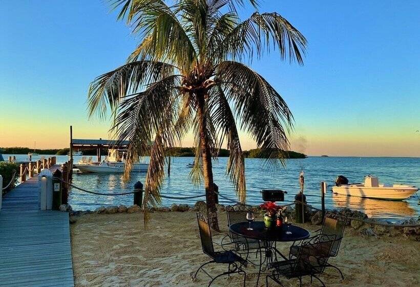 فندق Coconut Palm Inn