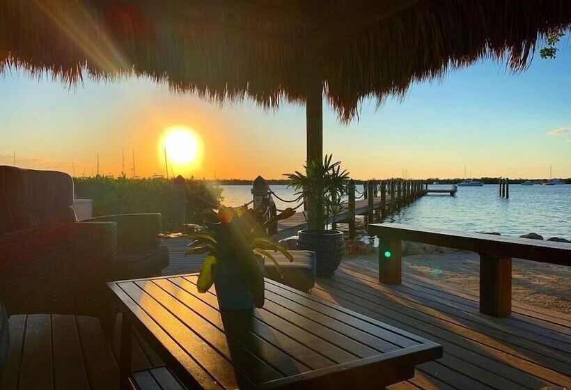 فندق Coconut Palm Inn