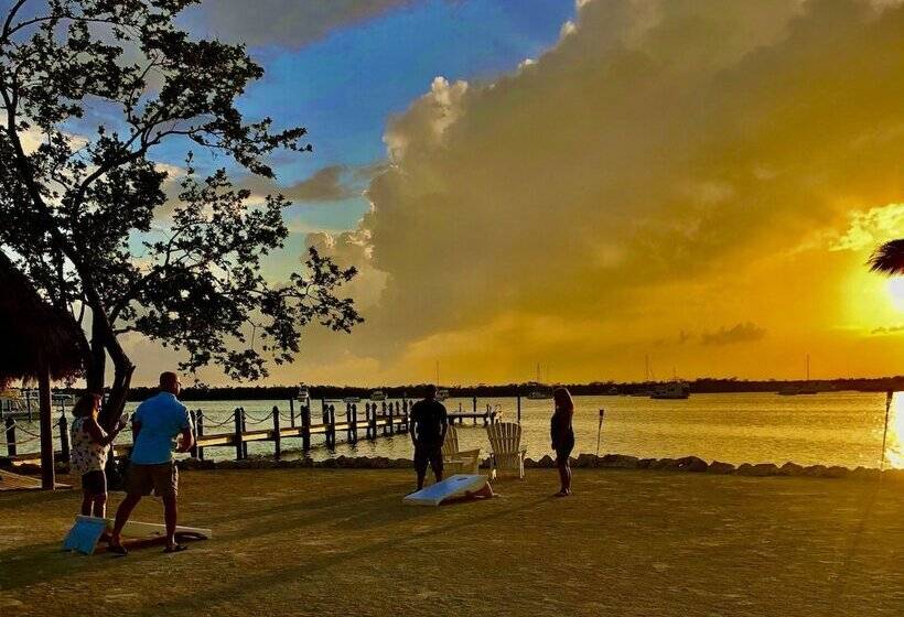 فندق Coconut Palm Inn