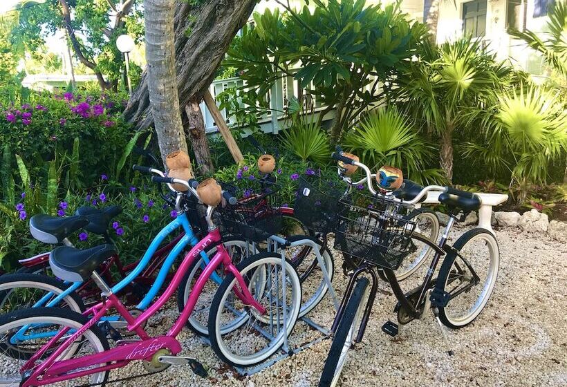 فندق Coconut Palm Inn