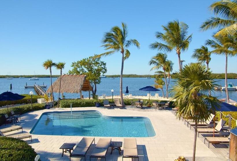 فندق Coconut Palm Inn