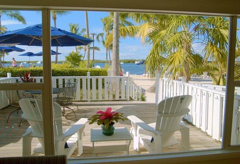 فندق Coconut Palm Inn