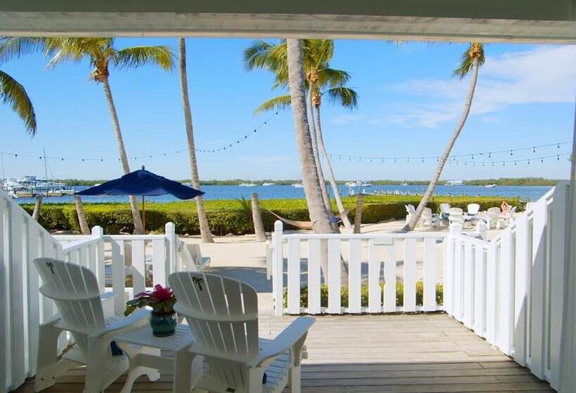 فندق Coconut Palm Inn