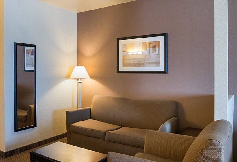 호텔 Comfort Inn I20 Midland Stanton