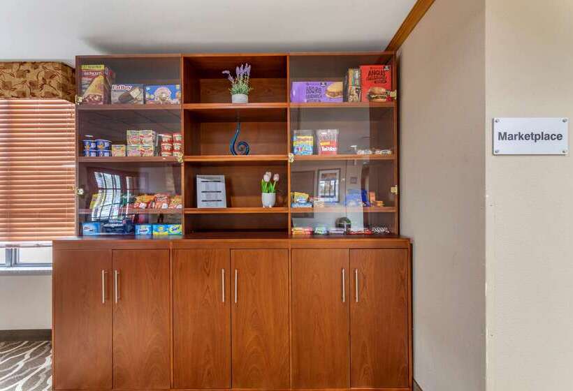 فندق Comfort Inn & Suites Carbondale University Area