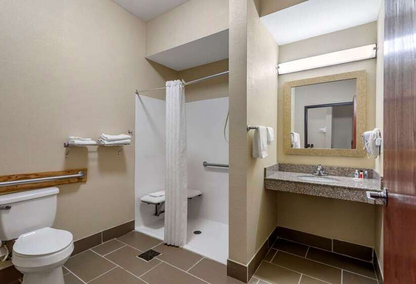 فندق Comfort Inn & Suites Carbondale University Area