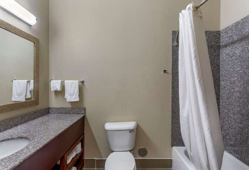فندق Comfort Inn & Suites Carbondale University Area