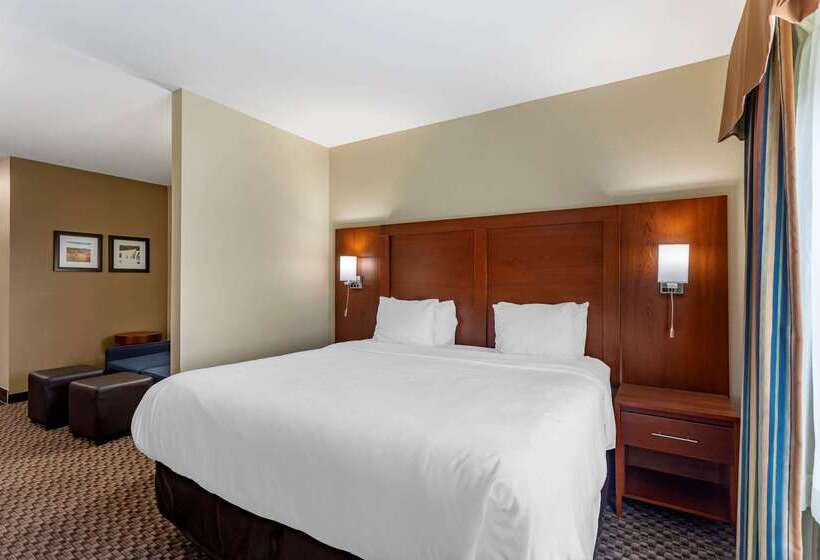فندق Comfort Inn & Suites Carbondale University Area