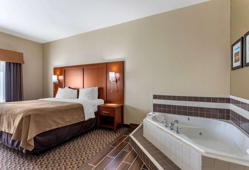 فندق Comfort Inn & Suites Carbondale University Area