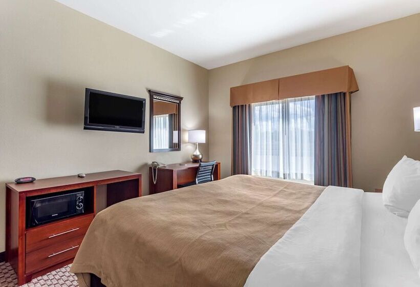 فندق Comfort Inn & Suites Carbondale University Area
