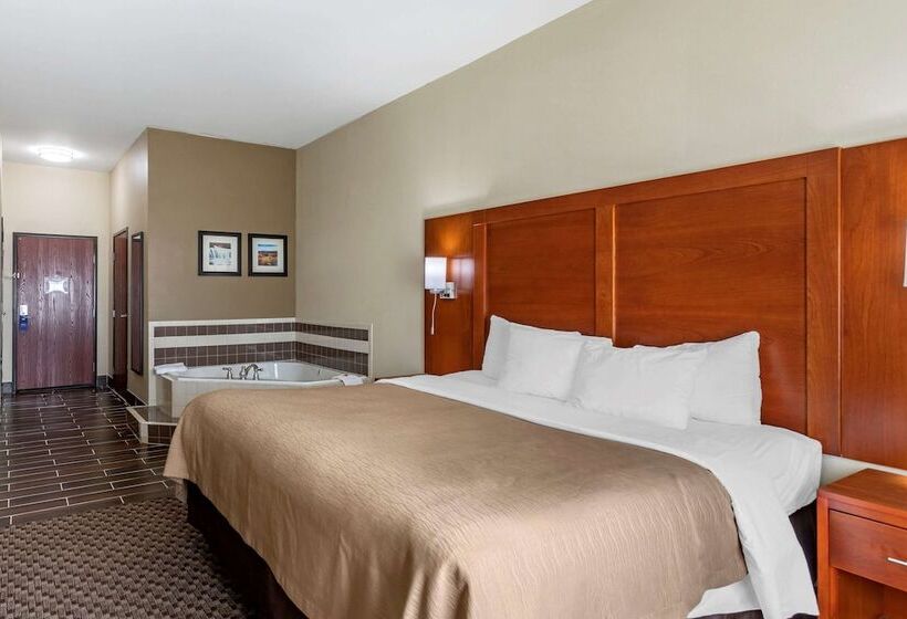 فندق Comfort Inn & Suites Carbondale University Area