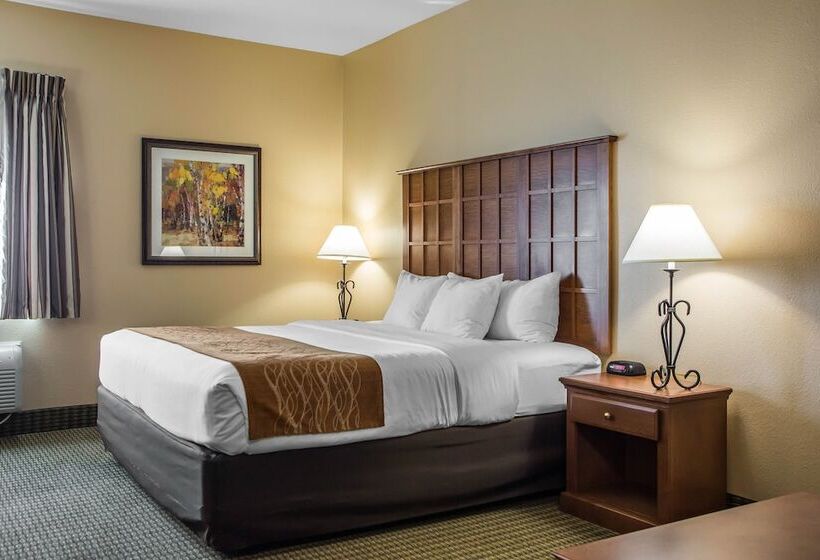 فندق Comfort Inn & Suites Chillicothe