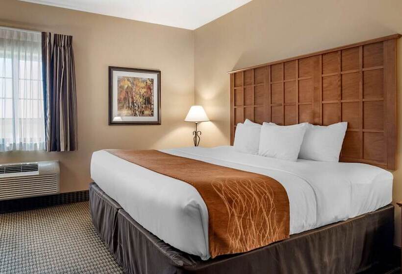 فندق Comfort Inn & Suites Chillicothe