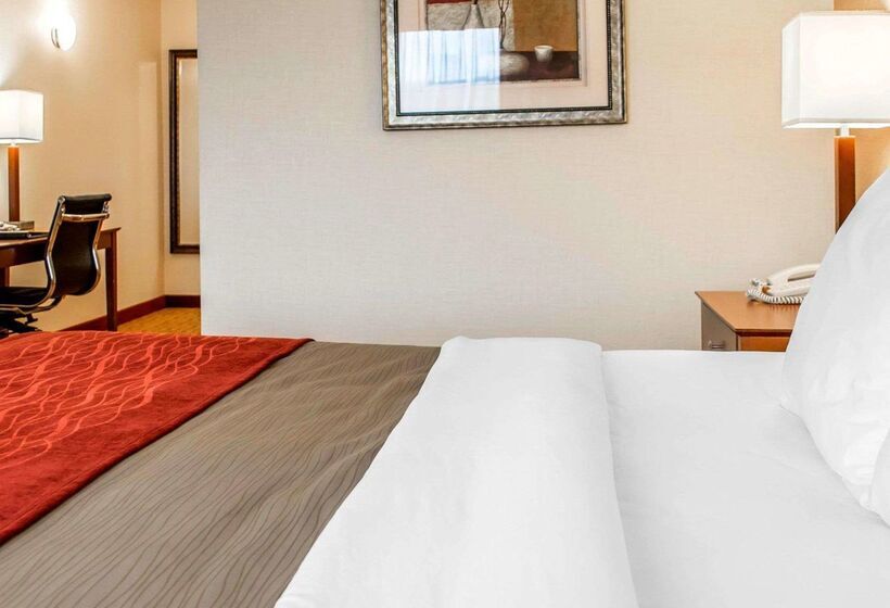 酒店 Comfort Inn & Suites Franklin East