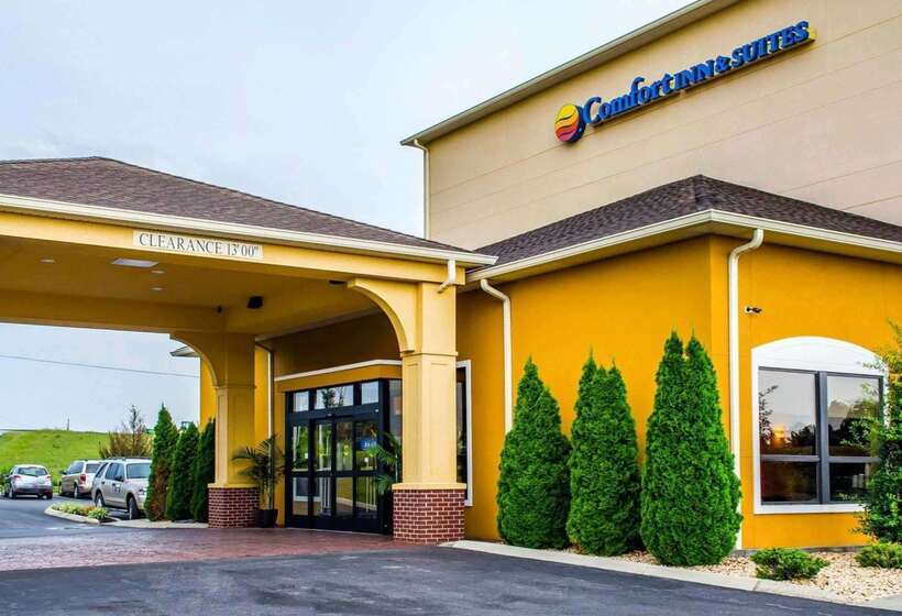 酒店 Comfort Inn & Suites Franklin East