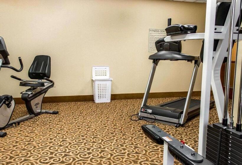 酒店 Comfort Inn & Suites Franklin East