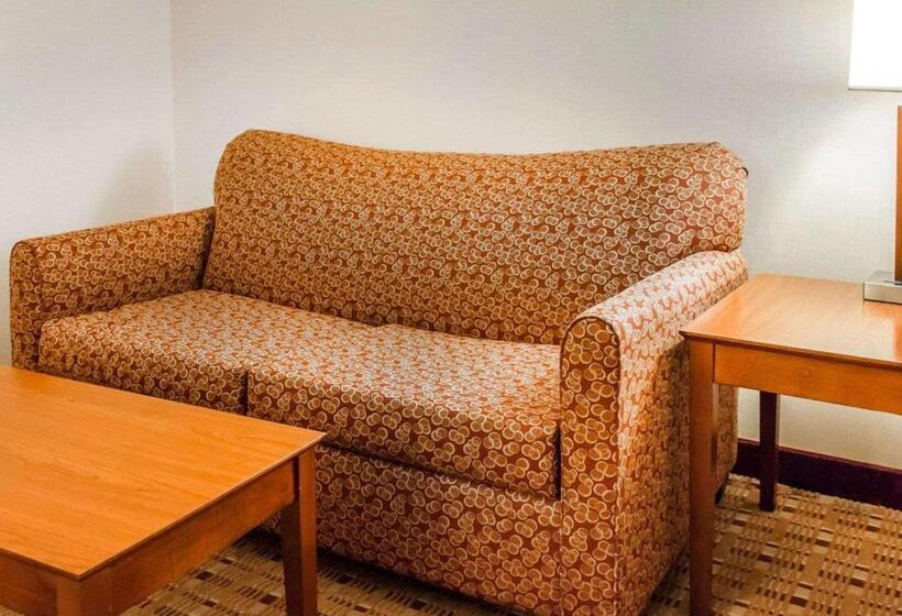 酒店 Comfort Inn & Suites Franklin East