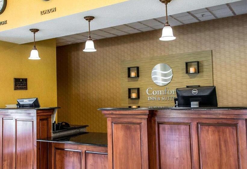 酒店 Comfort Inn & Suites Franklin East