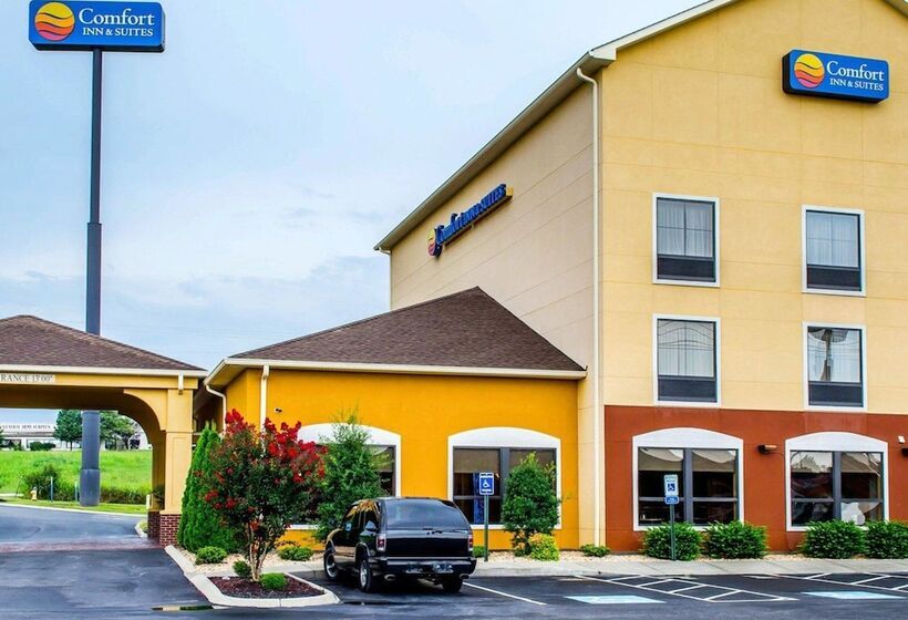 酒店 Comfort Inn & Suites Franklin East