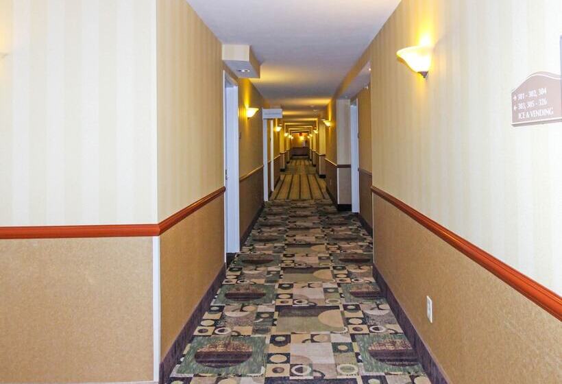 酒店 Comfort Inn & Suites Franklin East