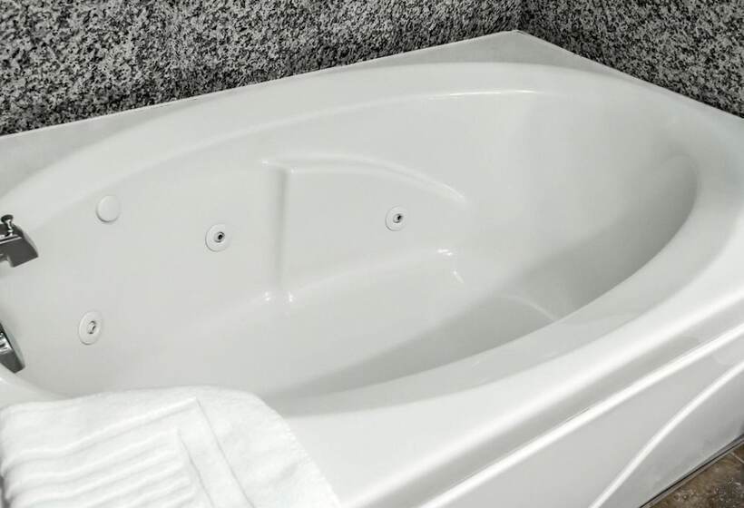 酒店 Comfort Inn & Suites Franklin East