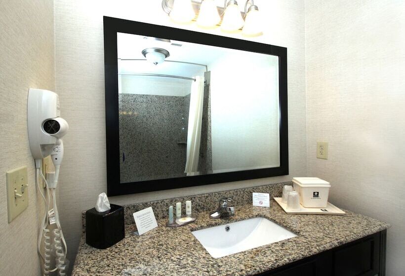 酒店 Comfort Inn & Suites Franklin East