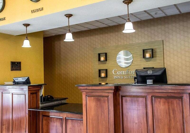酒店 Comfort Inn & Suites Franklin East