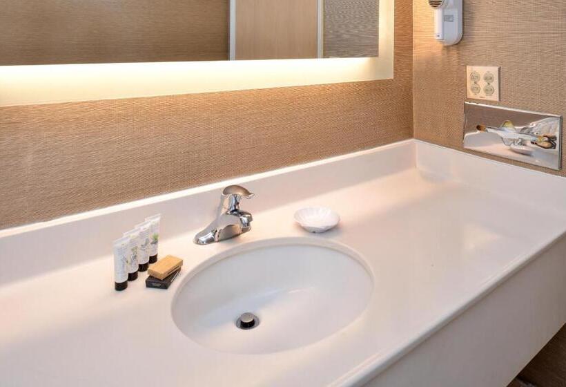 Отель Comfort Inn & Suites Susanville