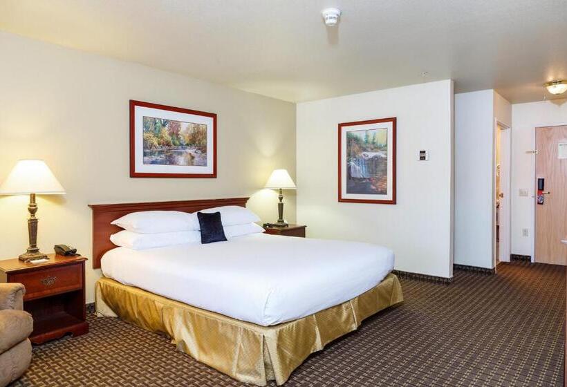 Отель Comfort Inn & Suites Susanville