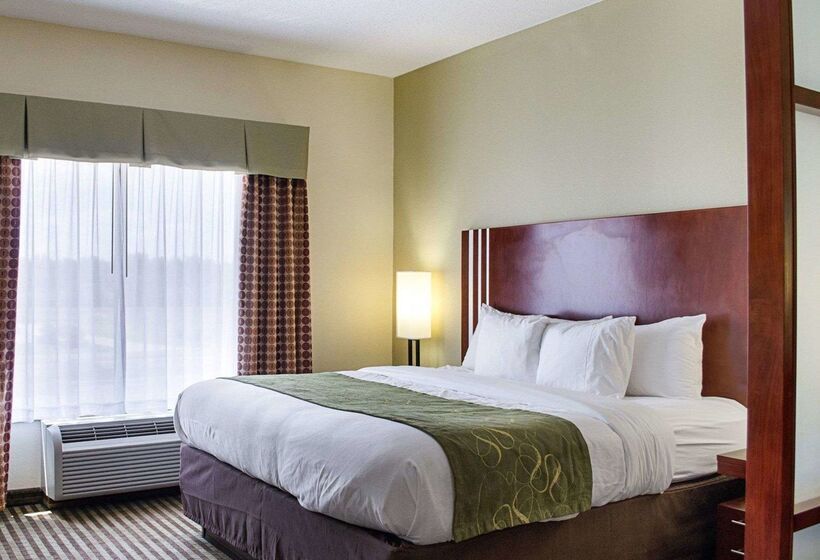 فندق Comfort Suites