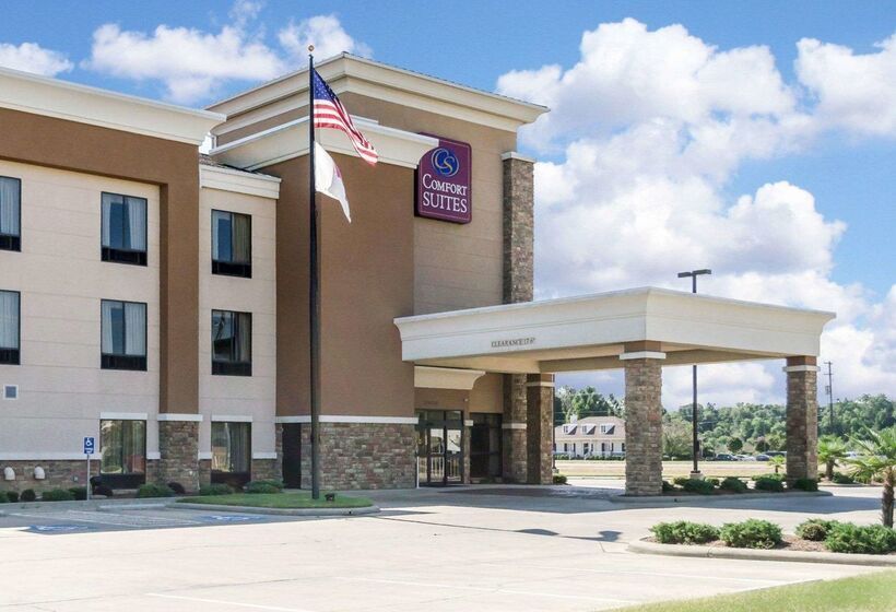 فندق Comfort Suites