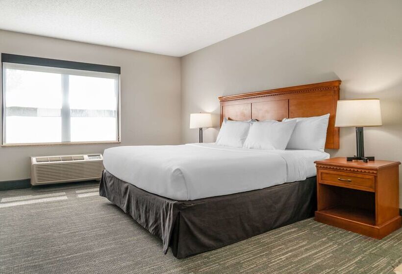 ホテル Country Inn & Suites By Radisson, Toledo South, Oh